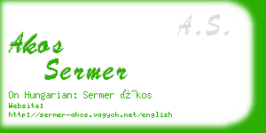 akos sermer business card